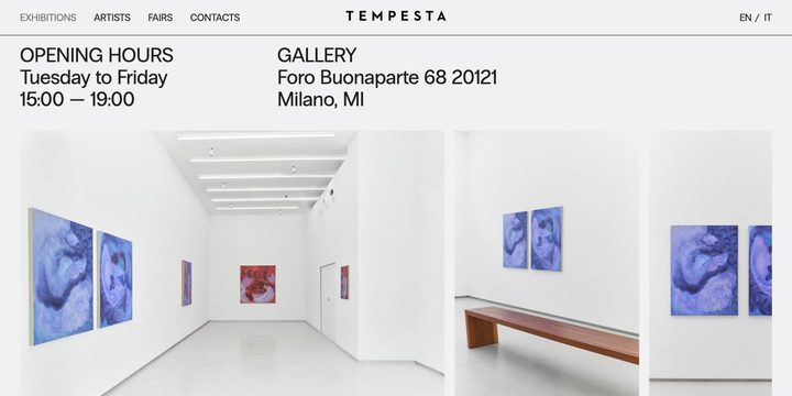 Tempesta Gallery screenshot